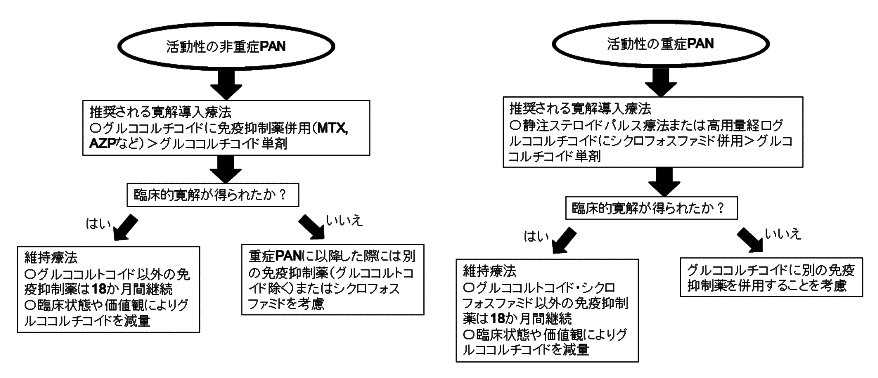 PAN診療フローチャート